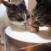 25位のイメージ