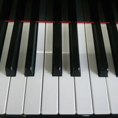 146位のイメージ