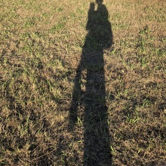 91位のイメージ