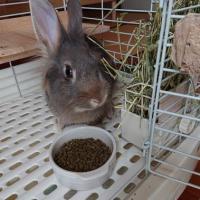 22位のイメージ