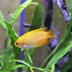 18位のイメージ