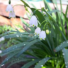 173位のイメージ