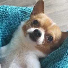 26位のイメージ