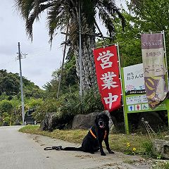 10位のイメージ