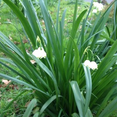 139位のイメージ