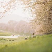 145位のイメージ