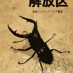 17位のイメージ