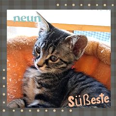 56位のイメージ