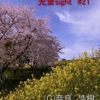 44位のイメージ