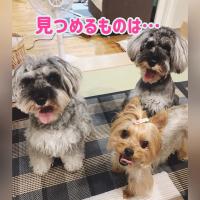 12位のイメージ