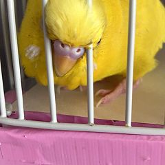 33位のイメージ