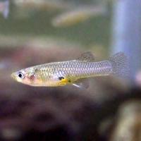 75位のイメージ