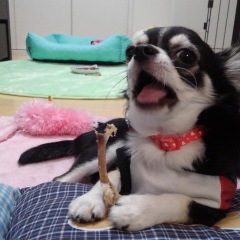 57位のイメージ