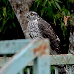 74位のイメージ