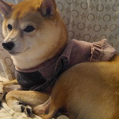 38位のイメージ