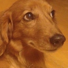 13位のイメージ