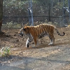 61位のイメージ