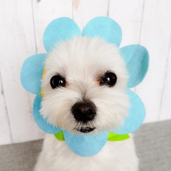 20位のイメージ