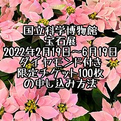 19位のイメージ