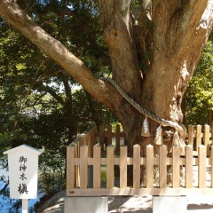 175位のイメージ