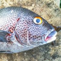 24位のイメージ