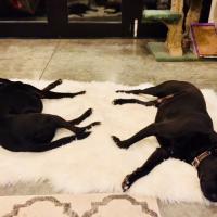 60位のイメージ