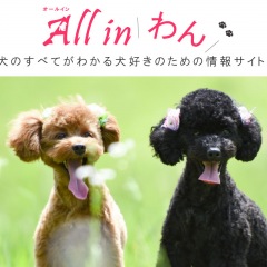 54位のイメージ