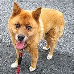 44位のイメージ