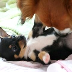 8454位のイメージ