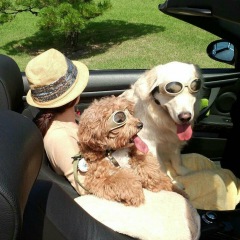 118位のイメージ