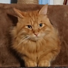 151位のイメージ