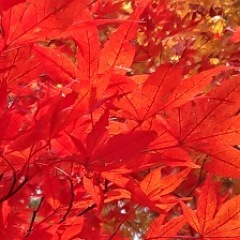 132位のイメージ