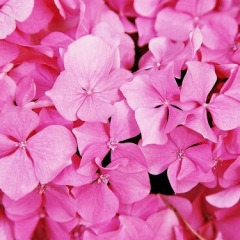 160位のイメージ