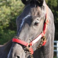 16位のイメージ