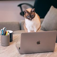 27位のイメージ