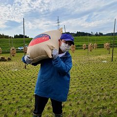 50位のイメージ