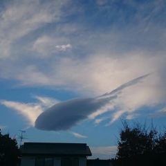 61位のイメージ