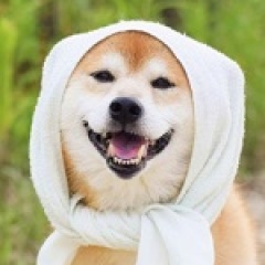 189位のイメージ