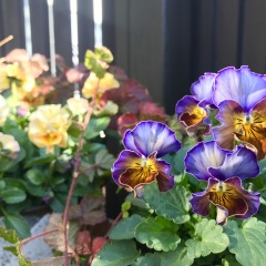 152位のイメージ