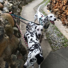 15位のイメージ