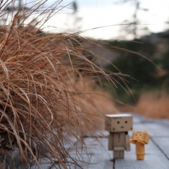 87位のイメージ