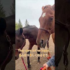 36位のイメージ