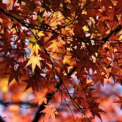 20位のイメージ