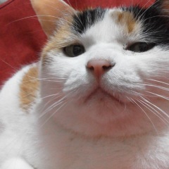 16位のイメージ