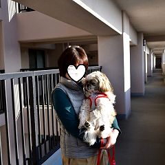 58位のイメージ