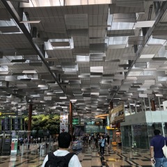 17位のイメージ