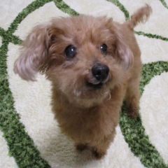 23位のイメージ