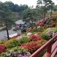 44位のイメージ