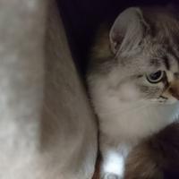 23位のイメージ