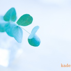 29位のイメージ